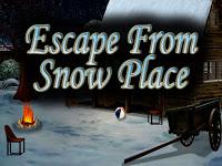 play Top10 Escape From Snow Place