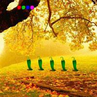 play Soothing Autumn Forest Escape