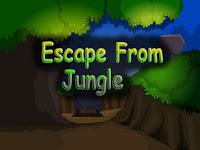 play Top10 Escape From Jungle