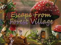 play Top10 Escape From Forest Village