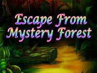 play Top10 Escape From Mystery Forest