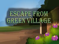 play Top10 Escape From Green Village