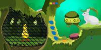 play G2M Rescue The Yellow Bird