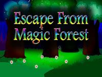 play Top10 Escape From Magic Forest