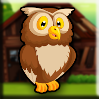 play G2J Tawny Owl Escape