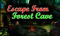 play Top10 Escape From Forest Cave