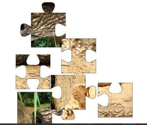 Canvas Puzzle