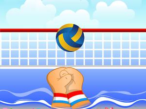 play Volley Ball