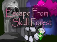 play Top10 Escape From Skull Forest