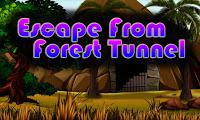 play Top10 Escape From Forest Tunnel