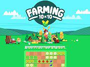 10X10 Farming