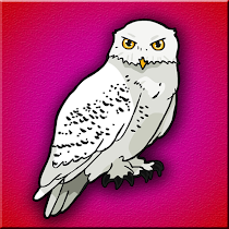 play G2J Snowy Owl Escape