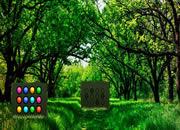 play Nature Forest Trees Escape