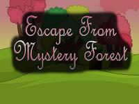 play Top10 Escape From Mystery Forest