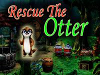 play Top10 Rescue The Otter