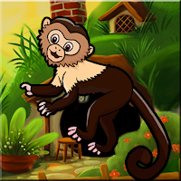 play G2J Squirrel Monkey Escape