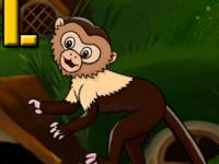 play Squirrel Monkey Escape