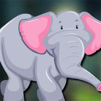play Avm-Adorable-Elephant-Escape