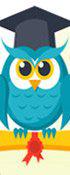 play Cute Owl Memory