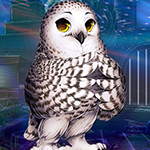 Lovely Owl Escape