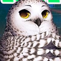 play Lovely Owl Escape