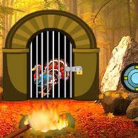 play Turkey-Waterfall-Forest-Escape