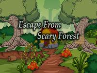 play Top10 Escape From Scary Forest