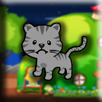 play G2J Small Cat Escape