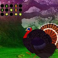 play Country Turkey Forest Escape