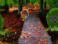 play Thanksgiving Autumn Nature Forest Escape