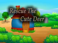 Top10 Rescue The Cute Deer