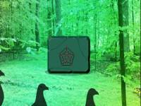 play Enchanting Forest Trees Escape