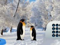play Penguin Snow Land Escape