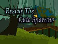play Top10 Rescue The Cute Sparrow