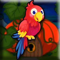 play Pretty-Macaw-Escape