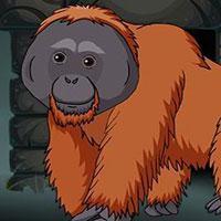 play Games2Jolly-The-Orangutan-Escape
