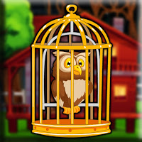 play G2J Forest Red Owl Escape