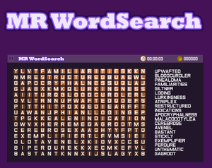 play Mr Wordsearch