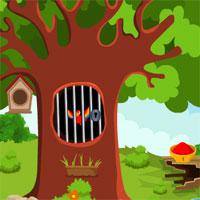 play Games4King-Macaw-Bird-Escape-From-Cage-