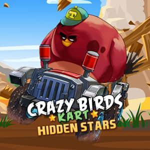 play Crazy Birds Kart Hidden Stars