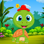 play Palani Comely Turtle Escape