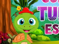 play Comely Turtle Escape