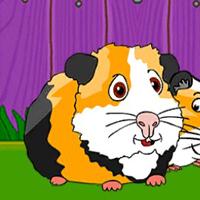 play G2J Guinea Pig Family Escape