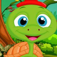 play Palani Comely Turtle Escape