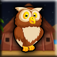 play G2J Tawny Owl Escape From Hut
