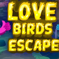 play Games4Escape-Love-Birds-Escape
