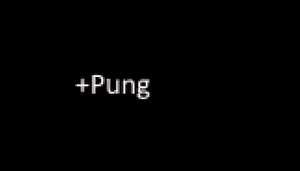 play Pung!