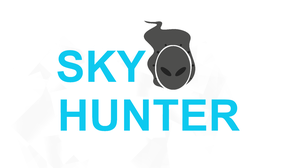 play Sky Hunter