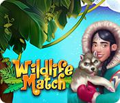 play Wildlife Match