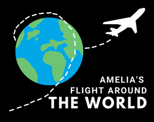 play Amelia'S Flight Around The World